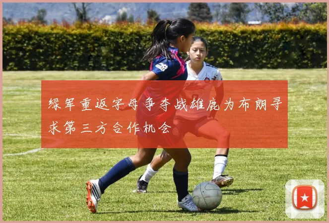 绿军重返字母争夺战雄鹿为布朗寻求第三方合作机会