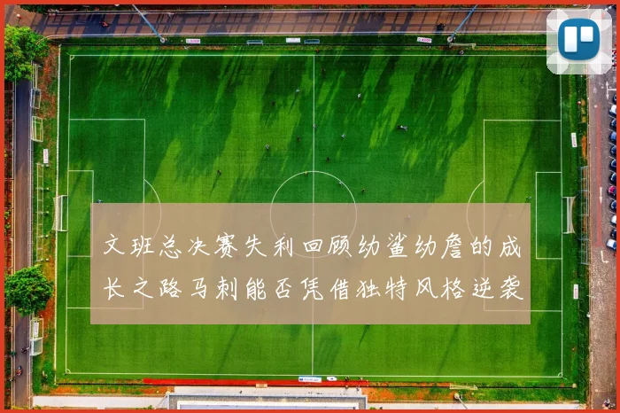 文班总决赛失利回顾幼鲨幼詹的成长之路马刺能否凭借独特风格逆袭成功